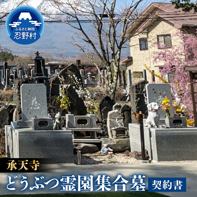 【ふるさと納税】忍野富士どうぶつ霊園集合墓 ペット供養 ペット墓地 愛犬 愛猫 お墓 納骨 承天寺 山梨県 忍野村