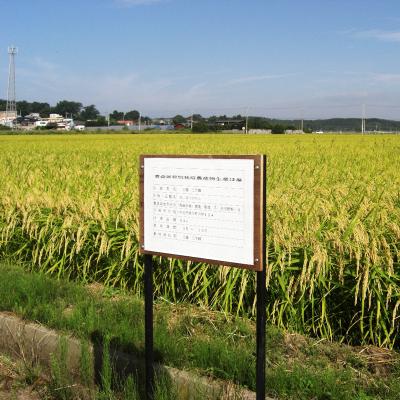 ふるさと納税 つがる市 あさゆき米「つがる雪舞」 2kg 特別栽培米 令和7年産 [0885] |  | 01