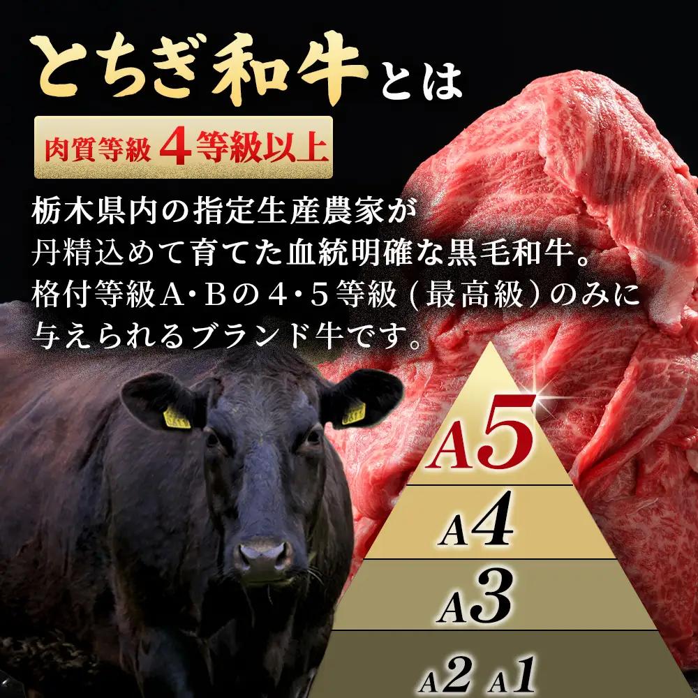 とちぎ和牛 A5 切り落とし 1.5kg【栃木県共通返礼品・栃木県産】 | 牛肉