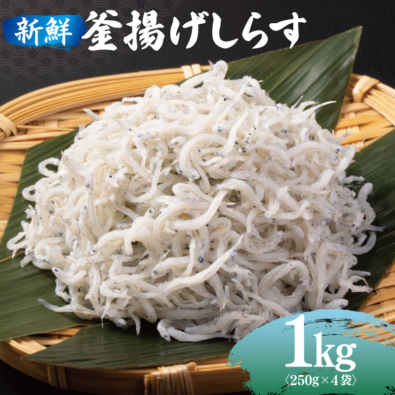 新鮮 釜揚げしらす 合計 1kg 小分け 250g×4P 015B296