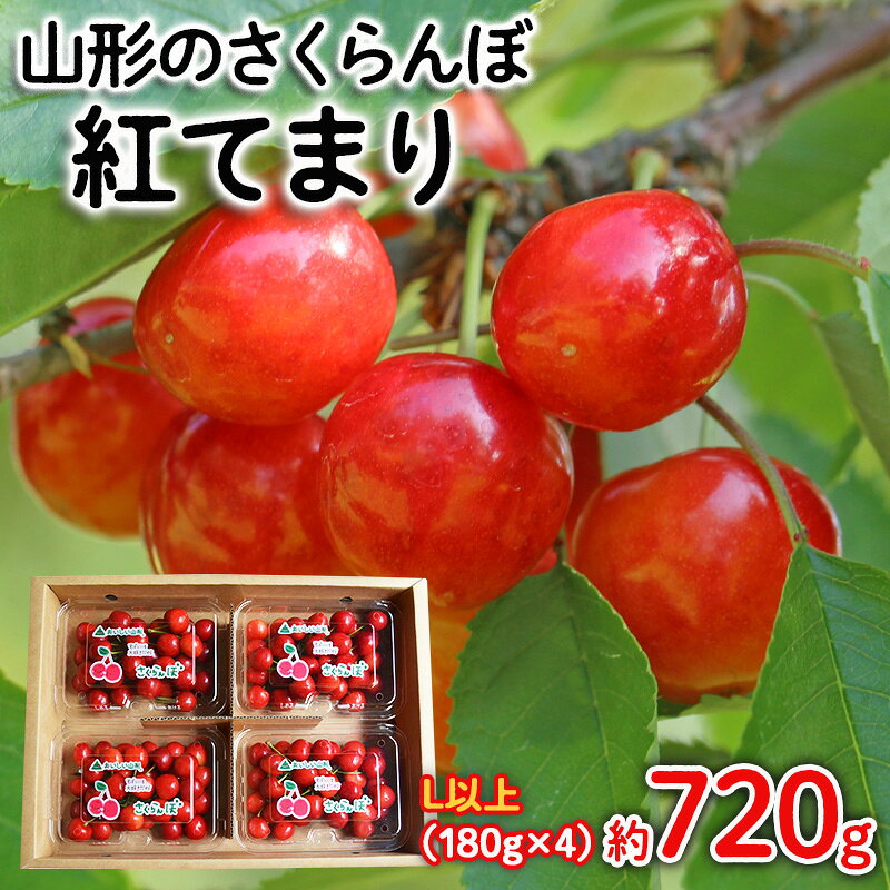 【ふるさと納税】山形のさくらんぼ 紅てまり Lサイズ以上 720g(180g×4) 【令和9年産先行予約】FS25-524 くだもの 果物 フルーツ 山形 山形県 山形市 お取り寄せ 2027年産