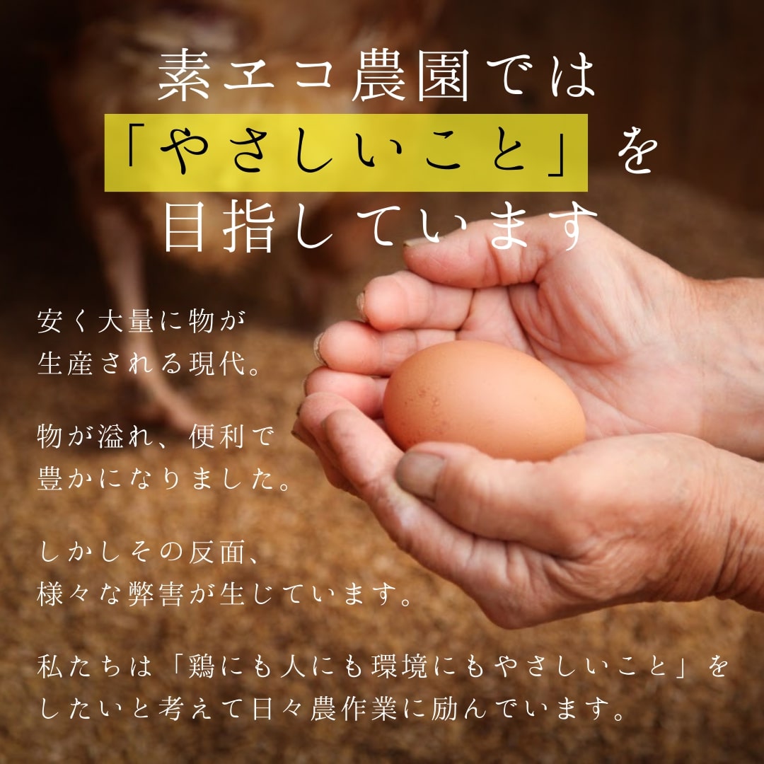【12回定期便】平飼いで のびのび！ばあちゃんの昔たまご 40個/月 割れ保証あり B612_イメージ2
