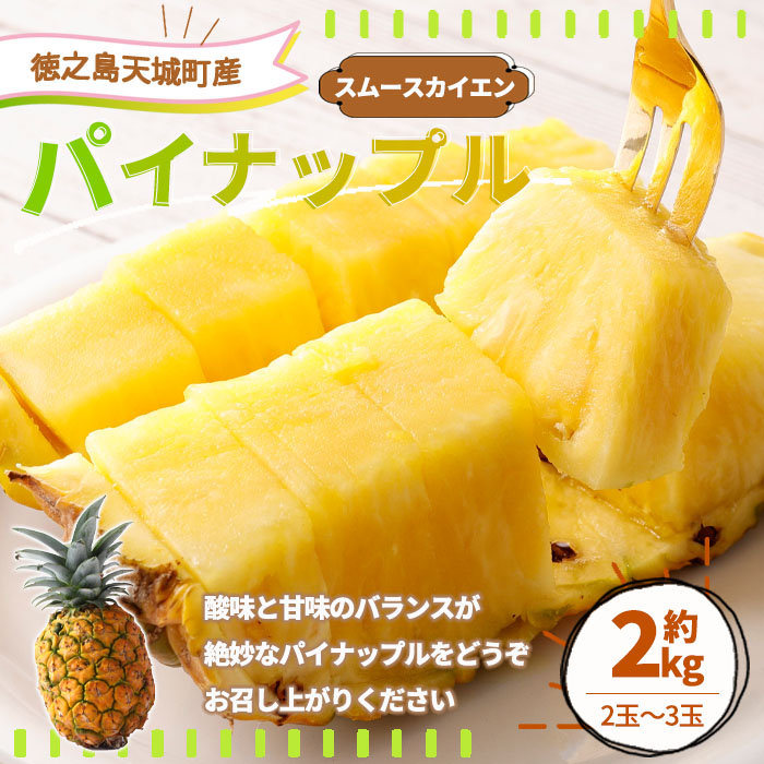 徳之島 天城町産 パイナップル 約2kg 2玉～3玉 スムースカイエン パイン フルーツ 果物 マイナビ