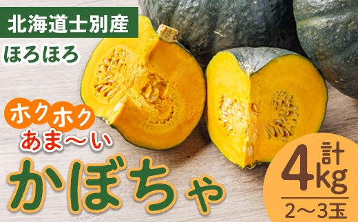 北海道士別産 かぼちゃ ほろほろ (4kg)【9月下旬以降準備ができ次第発送】 北海道産 国産 カボチャ 南瓜 野菜 煮物 サラダ 天ぷら 甘い 味覚の秋 【吉方農園】【A7143】
