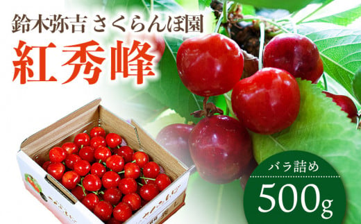 【令和7年産先行予約】 さくらんぼ 「紅秀峰」 バラ詰め 500g 山形県鶴岡産　鈴木弥吉さくらんぼ園　K-732