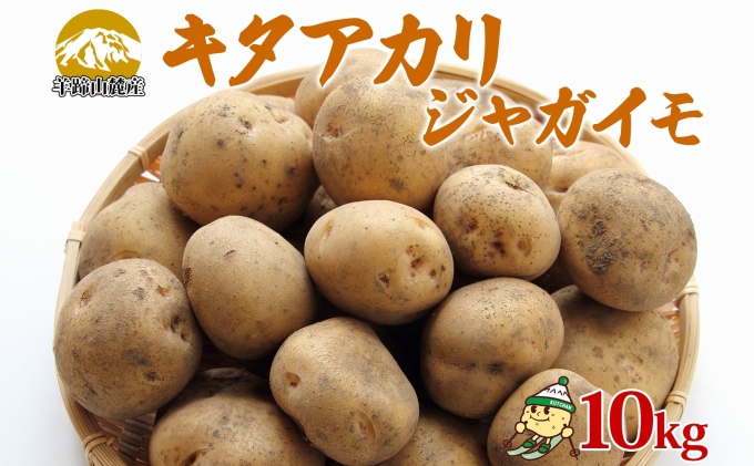 北海道産 じゃがいも キタアカリ 約10kg Lサイズ ジャガイモ 北あかり 馬鈴薯 ポテト クリじゃがいも 常備野菜 根菜 産直 国産 JAようてい 送料無料 北海道北海道のジャガイモ 食品 