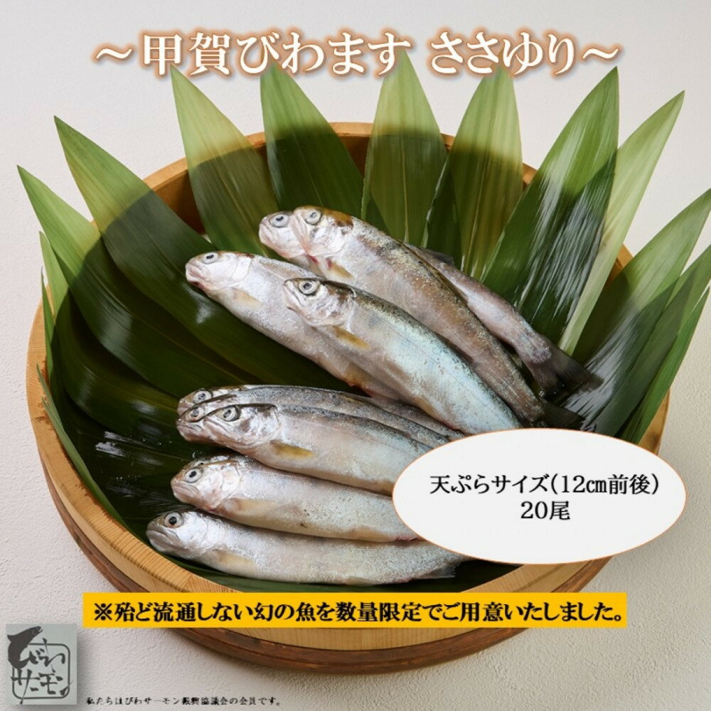 【ふるさと納税】甲賀びわます “ささゆり”　 天ぷらサイズ 5尾入り×4パック | 甲賀市 ささゆり びわます 希少 魚介類 水産 食品 人気 おすすめ 送料無料