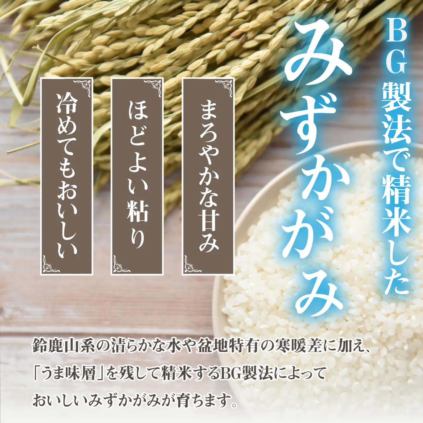【先行予約】【令和8年産新米早期予約 毎月定期配送・計3回】 BG無洗米みずかがみ10kg×3回 [K-00409] / 無洗米