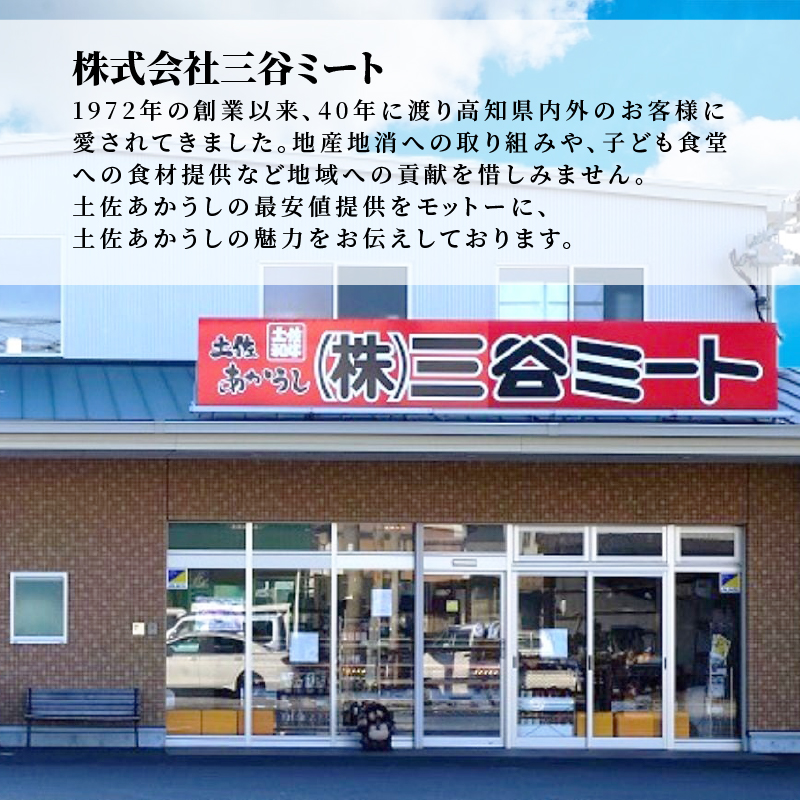 ｢土佐あかうし｣切り落とし600g 300×2パック 牛肉 和牛 切り落とし 600g 土佐あかうし 土佐 あかうし ブランド牛 国産 国産牛 人気 お取り寄せ 冷凍 BBQ バーベキュー 焼肉 焼き