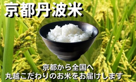 京都丹波産 米 食べ比べセット◇【京都丹波産 こしひかり きぬひかり 各5kg 計10kg】※米食味鑑定士厳選 ※精米したてをお届け【京都伏見のお米問屋が精米】京都丹波産 特Ａ ※沖縄本島・離島への配