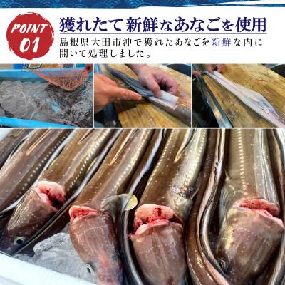 ふるさと納税 松江市 島根県沖産あなごの切り身18枚!レシピ付きで肉厚あなごを簡単調理 |  | 01