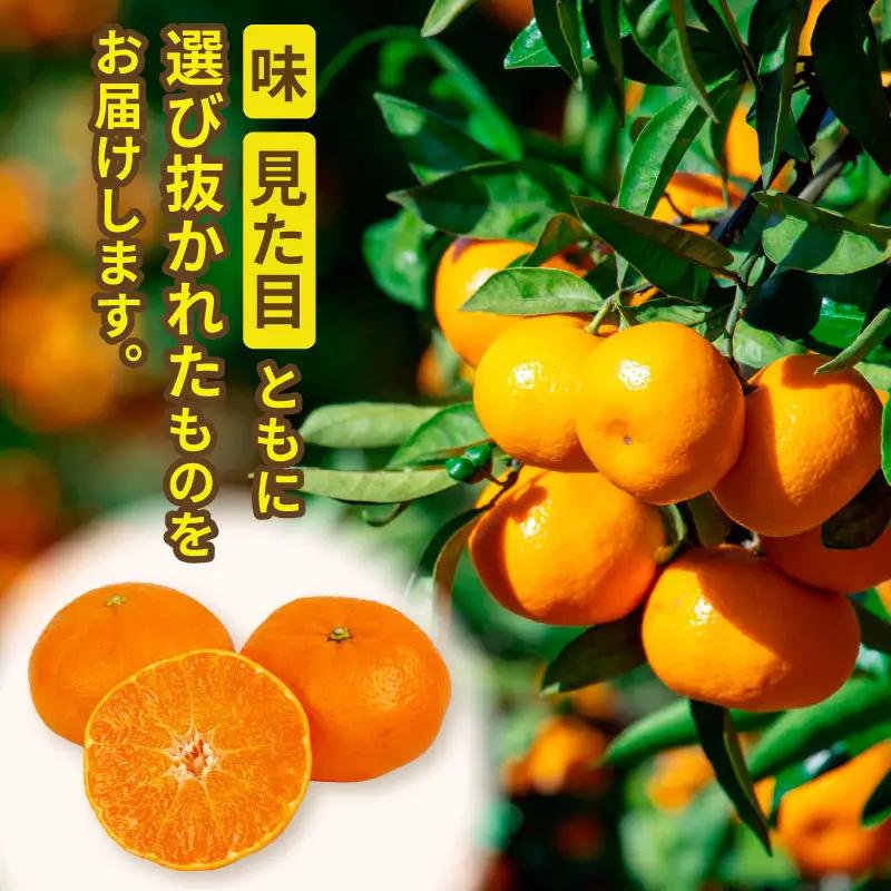 甘平 高級柑橘 2kg 贈答用 甘平 ハウス栽培 ハマみかん B020-075006