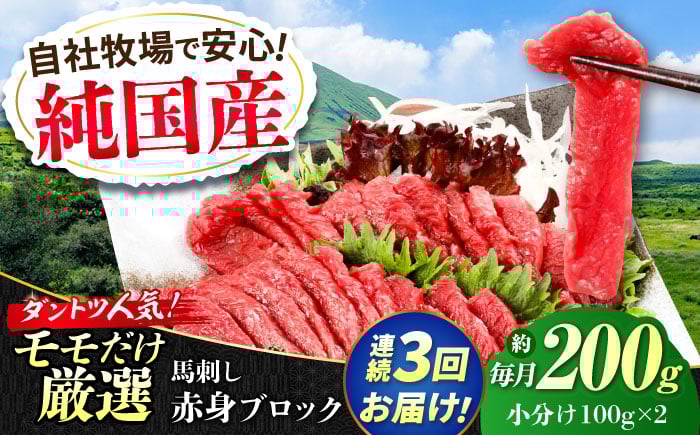 
            【全3回定期便】『純国産』熊本の味 赤身 馬刺し 約200g ブロック 冷凍 タレ付き【有限会社 九州食肉産業】 [AYCN109]
          