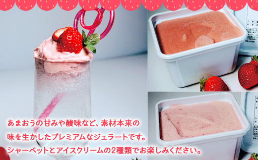 アイス いちご プレミアム あまおう ジェラート 2種 セット [THE FARM_strawberry 福岡県 宇美町 um40azo780003] イチゴ 苺 フルーツ 果実 甘い デザート