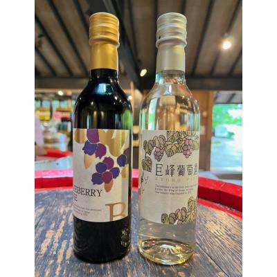 ふるさと納税 久留米市 田主丸町巨峰ワインとブルーベリーワインのセット