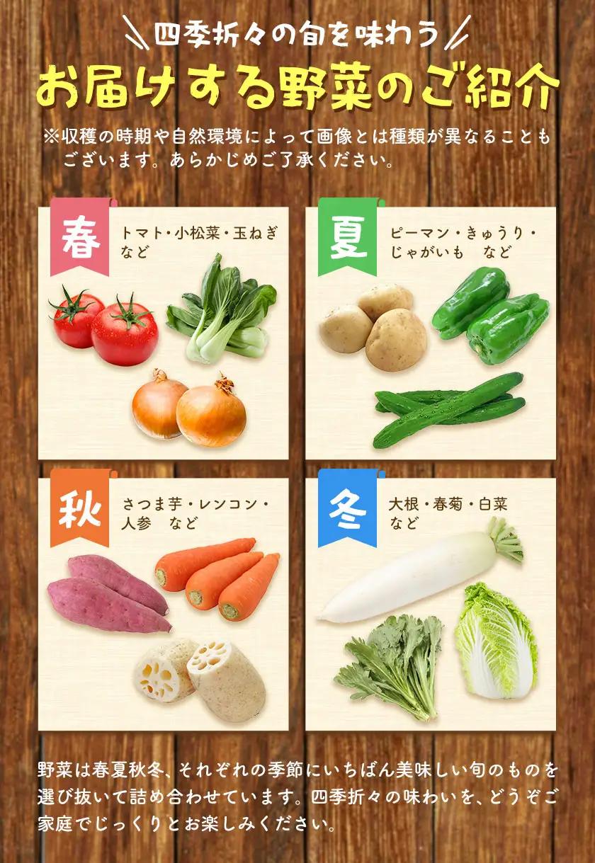 【12ヶ月定期便】野菜 詰合せ 7～9品 米 2kg 12回《お申込み翌月から出荷》 畑の天使