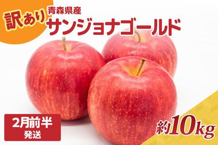 【2026年2月前半発送】りんご【訳あり】約10kg サンジョナゴールド | 青森県産りんご 家庭用りんご