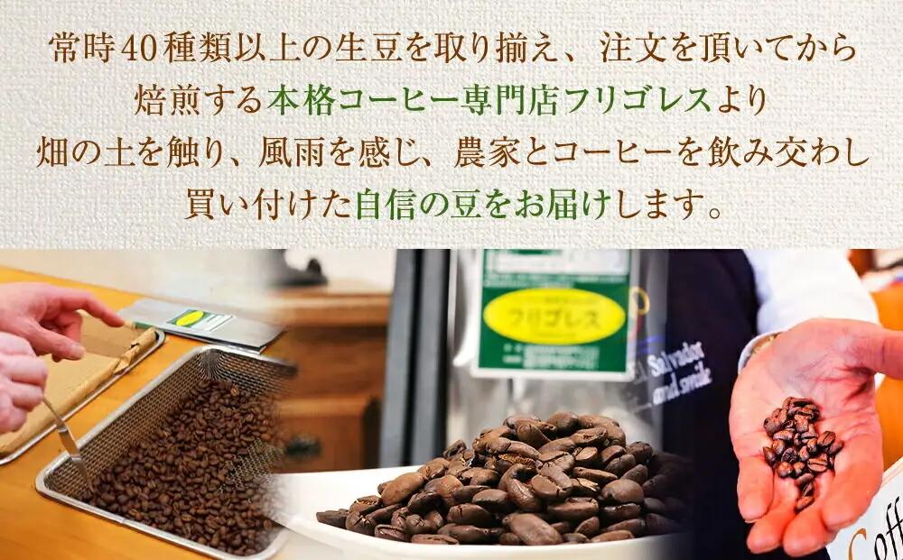 【定期便8ヶ月】フリゴレス 世界の豆の旅 プレミアム 2種コーヒーセット (挽粉) 珈琲 詰め合わせ