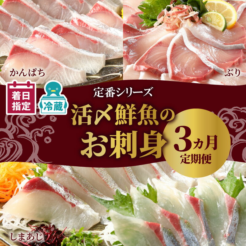 【ふるさと納税】【最短10日後以降発送開始】 高評価★5.00 定期便 3ヶ月 ぶり シマアジ カンパチ 延岡産 活〆 鮮魚 真空パック 刺身 お刺身 脂のり しゃぶしゃぶ カルパッチョ 海鮮 魚 魚介類 厳選 新鮮 簡単 旬 チルド 冷蔵 解凍不要 国産 日向灘 宮崎県 延岡市 送料無料