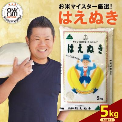 ふるさと納税 米沢市 【先行予約】令和8年産 はえぬき 5kg ( 5kg × 1袋 )