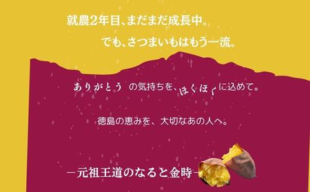 【 予約受付中・2025年10月頃より順次発送 】【笠岡ファーム】うちん家のさつまいも　3kg　さつまいも　鳴門金時　徳島　鳴門