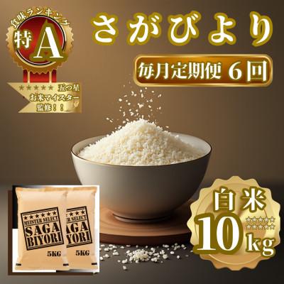 ふるさと納税 佐賀県 【毎月定期便】さがびより白米10kg(5kg×2袋)(佐賀県)【41ANAD016】全6回