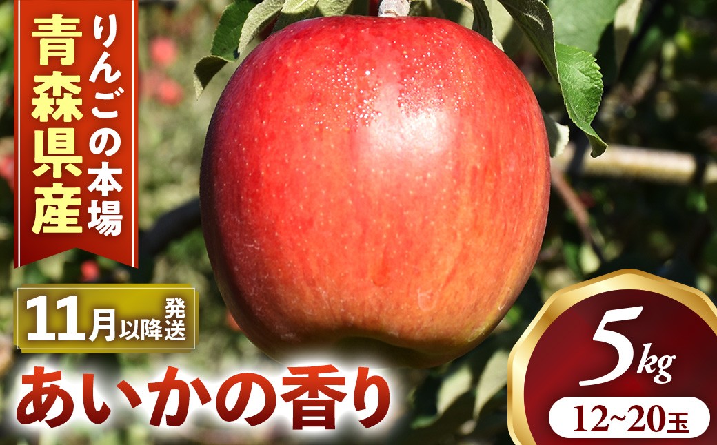 りんご【あいかの香り】12～18玉（約5kg）【2023年産・先行予約】