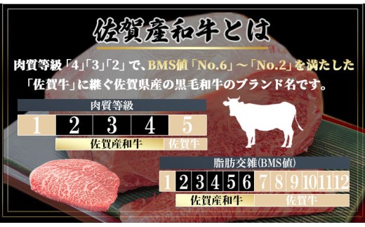 佐賀産和牛　肩ロース焼肉用切り落し　800g さが サガ ギフト 老舗 牛肉 霜降り 希少部位 厚切り：B240-037