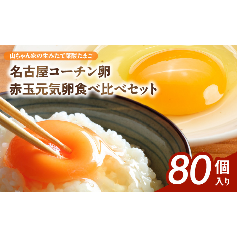 【山ちゃん家の生みたて葉酸たまご】名古屋コーチン卵・赤玉元気卵 食べ比べセット（各40個 合計80個入り）［132Y11］山ちゃん家 生みたて 葉酸たまご 名古屋コーチン卵 赤玉元気卵 食べ比べ セット 各 40個 合計 80個 入り 地鶏 卵 朝食 卵焼き 目玉焼き オムライス ゆでたまご 山田養鶏 お取り寄せ 愛知県 小牧市 送料無料
