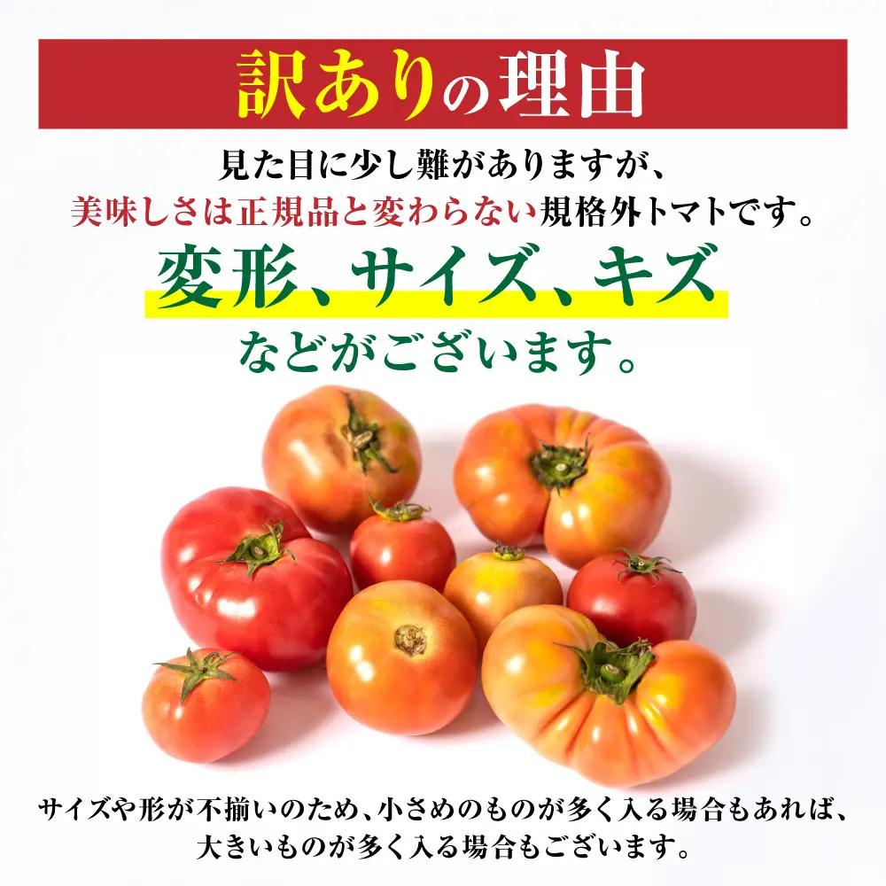 トマト 【先行予約】 訳ありトマト 約2kg 【2027年4月中旬より順次発送】 トマト