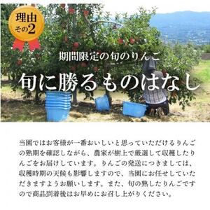 【南信州あじさい農園】葉とらずりんご(シナノゴールド)約10kg【1594097】