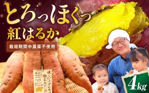 【厳選】 紅はるか 4kg さつまいも 冷やし芋 べにはるか さつまいも 紅はるか おやつ お菓子 野菜 デザート イモ 芋 いも さつま芋 甘藷 薩摩芋 サツマイモ ひやしいも やきいも 焼き芋 スイーツ おいしい 甘味 甘い ねっとり 国産 産地直送 やきいも 焼きいも おいしい 大学芋 家庭用 食物繊維 滋賀県 長浜市 / 好作豊吉 [AQCF014]