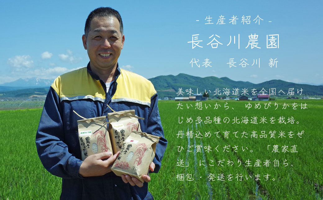 【令和8年産】≪定期便6ヶ月≫ 彩 10kg×6回 計60kg 米 精米 北海道米 北海道産 10kg 当麻町 長谷川農園 60kg以上【U-023】