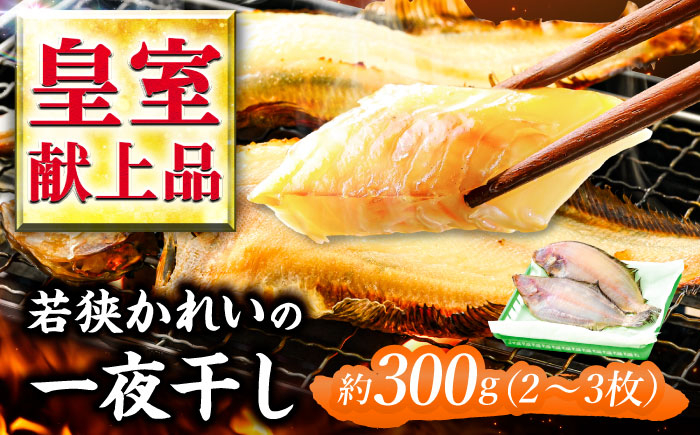 
                  国産 若狭かれいの一夜干し 300g (2～3枚) ヤナギムシカレイ  【配送不可地域：北海道・沖縄・離島】  [BFAE022] 
                
