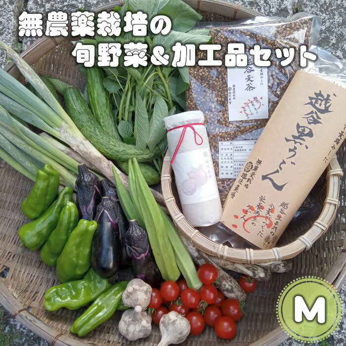 【ふるさと納税】 無農薬栽培の旬野菜＆加工品セット　M ／ やさい 安全 安心 オーガニック野菜 詰合せ 送料無料 埼玉県 No.053