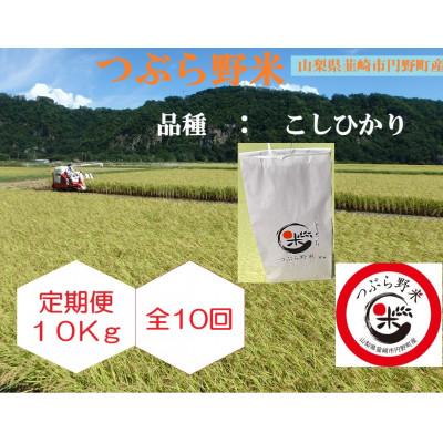 ふるさと納税 韮崎市 【毎月定期便】つぶら野米(品種:コシヒカリ) 白米10kg 定期10ヶ月(計100Kg)全10回
