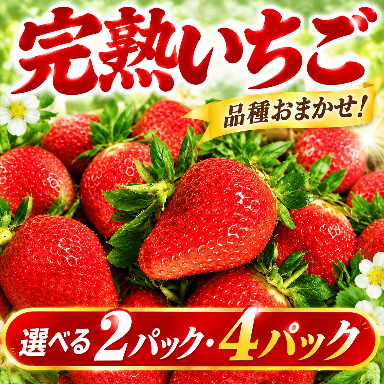【ふるさと納税】 いちご 2 - 4パック 1パック 約260g 完熟 やよいひめ とちおとめ かおり野 おまかせ 苺 イチゴ いちご 年内お届け 食べ比べ フルーツ 数量限定 先行予約 果物 くだもの デザート [2026年11月より発送開始] 野菜 朝採れ 新鮮 国産 茨城県 筑西市 関東