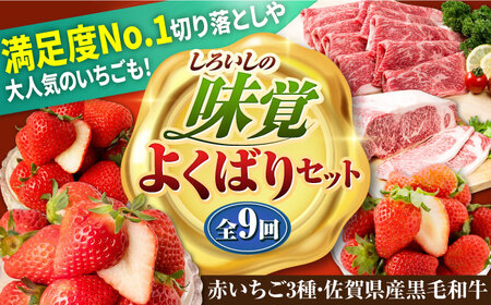 【先行予約】【全9回定期便】しろいしの味覚よくばりセット（赤いちご3種と佐賀県産黒毛和牛）[IZZ022]