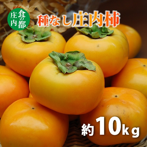 
            食の都庄内　種なし庄内柿約10kg（約5kg×2箱）　※令和7年10月下旬頃～順次配送
          