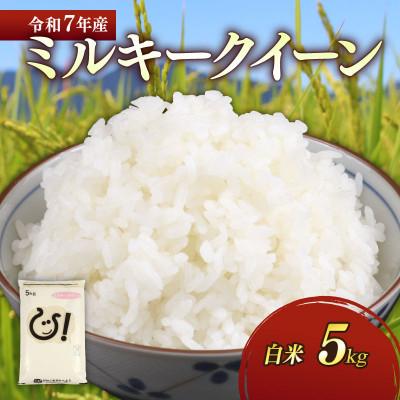 ふるさと納税 彦根市 令和7年産新米ミルキークイーン白米5kg 甘みと強い粘りが特徴