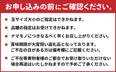 【令和7年6月より発送】【食べごろ品種をお届け】 桃 （ちよひめ/日川白鳳/加納岩白桃/千曲白鳳/あかつき）の中から 約1.5-1.8kg （5玉-8玉） / もも モモ モモ 桃 もも 果物 くだも