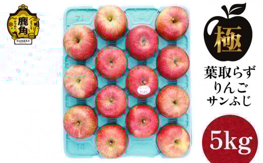 《極》葉取らずりんご！ サンふじ 5kg（13～20玉）【録政園】●2025年11月中旬発送開始 葉とらず みずみずしい 果汁 リンゴ 林檎 完熟 旬 県産りんご お中元 お歳暮 贈り物 お見舞い グルメ ギフト 故郷 秋田県鹿角市産 送料無料