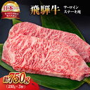 【ふるさと納税】 飛騨牛 A4等級 以上 サーロイン ステーキ 用 3枚 ( 計 750g )【肉の丸長】 和牛 ブランド牛 国産 多治見市/肉の丸長 [TAZ001]