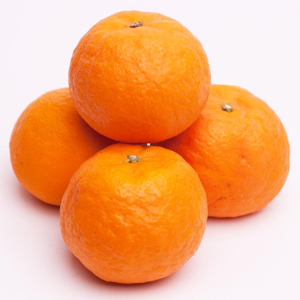 ［先行予約］厳選 カラマンダリン5kg+250g（傷み補償分）［南津海・なつみ］［希少な春柑橘］［みかんと同じように食べられます］［IKE67］