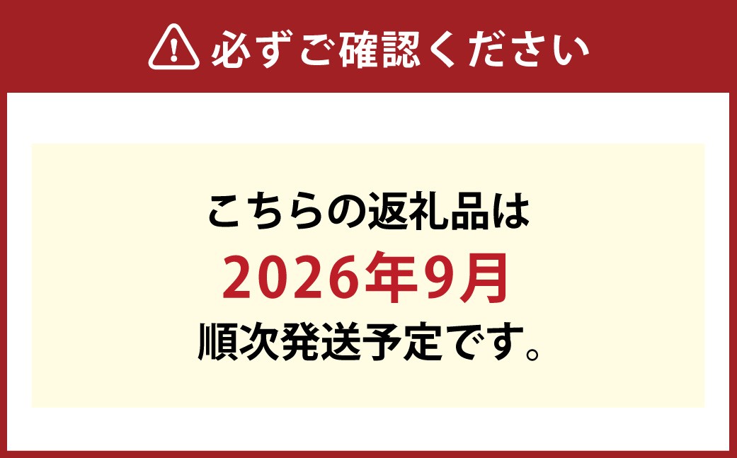 岡山の桃黄金桃9～13玉約3.8kg