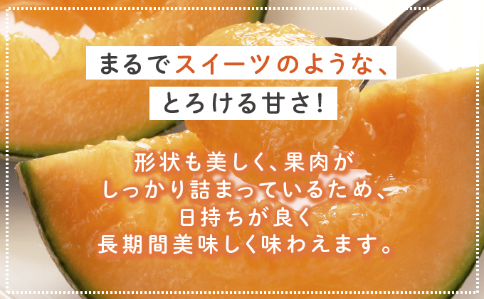 【2024年6月下旬～発送】ふらの 赤肉 メロン 4～6玉入 計約8kg 北海道 富良野市 (相馬農園) メロン フルーツ 果物 新鮮 甘い 贈り物 ギフト 道産 ジューシー おやつ ふらの