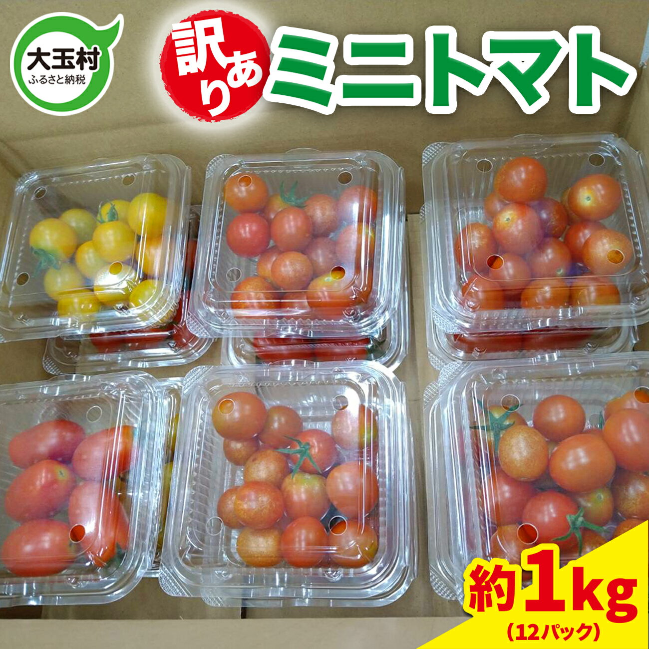 【ふるさと納税】 訳あり 野菜 ミニトマト 約 1kg もったいない野菜 数量限定 ｜ 夏野菜 SDGs フードロス 食品ロス 規格外 傷 不揃い 家庭用 とまと プチトマト 期間限定 送料無料 新鮮 旬 5000円 以下 4000円 産地直送 大玉 大玉村 福島 ｜ om-mtwa-R6