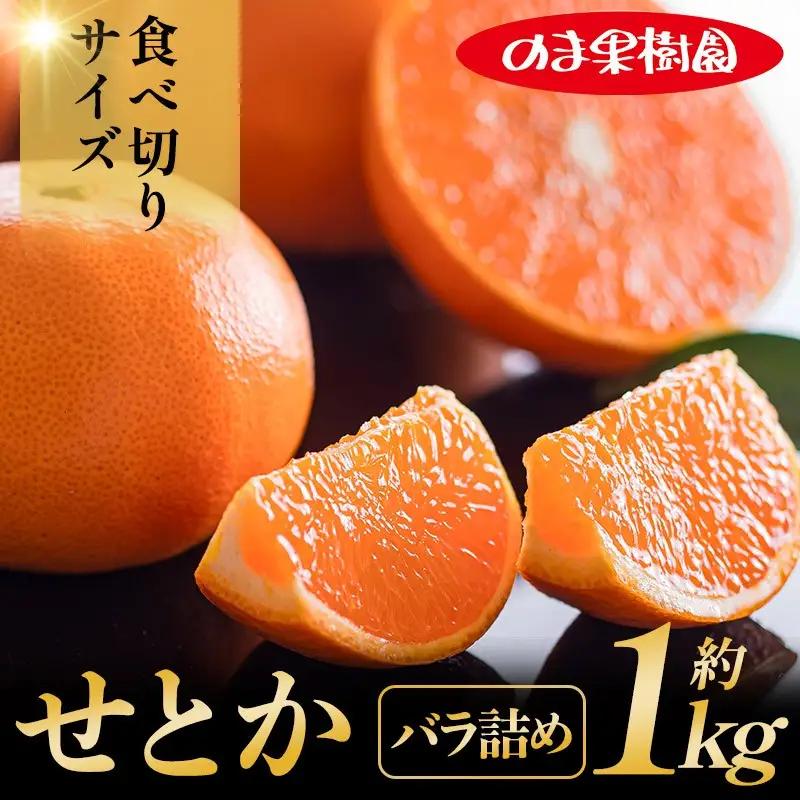 【先行予約】せとか（1kg）