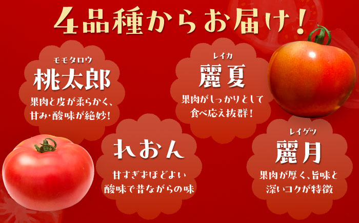【2026年7月中旬から10月下旬に順次発送】大玉トマト 4kg 産地直送 とまと トマト  恵那市 / クリエイティブファーマーズ [AUAH013]