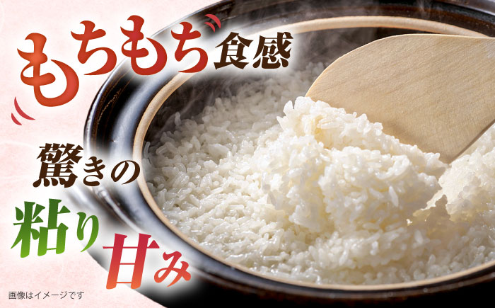 ミルキークイーン 2合 × 20袋 小分け袋 糸島市 / 玄米・精米専門店 新飼宗一郎商店 米 白米 [ADE018]